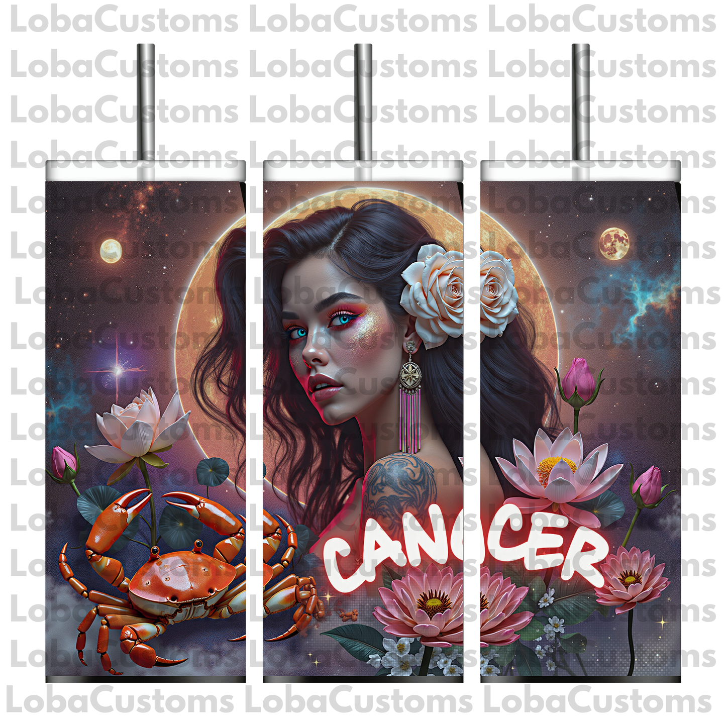 Sublimation Zodiac